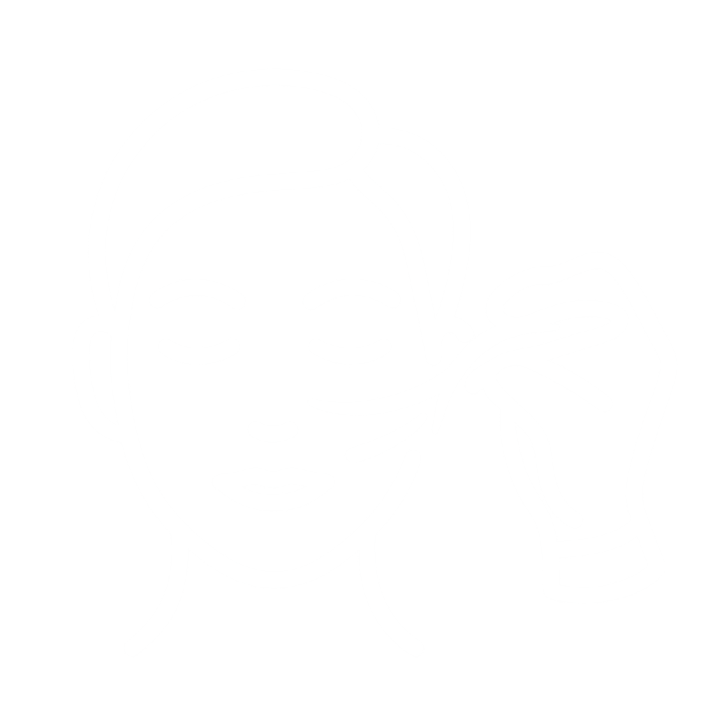 Ästhetische Gesichtschirurgie Düsseldorf – Icon Fadenlifting