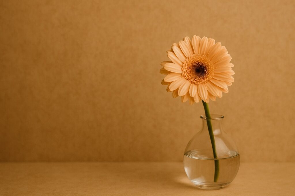 Fadenlifting Düsseldorf bringt Frische ins Gesicht Moodbild